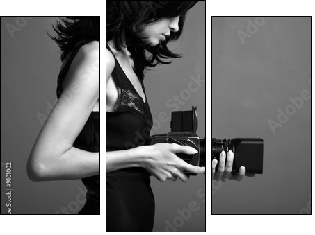 Fashion portrait of young photographing lady - Three-piece canvas, Triptych