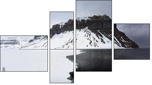 Spitzbergen - Four-piece canvas, Fortyk