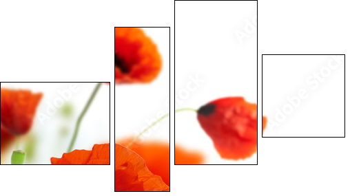 floral design, decoration flowers, poppies border - corner - Four-piece canvas, Fortyk