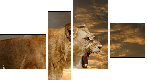 LÃ¶we 001 - Four-piece canvas, Fortyk