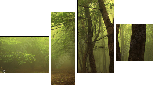 Green forest with fog - Four-piece canvas, Fortyk