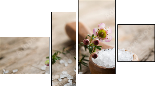 Bath salt - Four-piece canvas, Fortyk