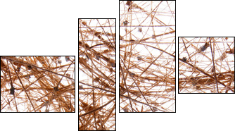 sisal background - Four-piece canvas, Fortyk