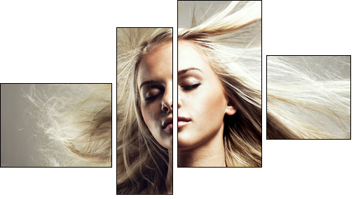 Beautiful woman with magnificent hair - Four-piece canvas, Fortyk