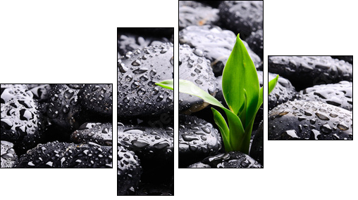 Spa concept - Four-piece canvas, Fortyk