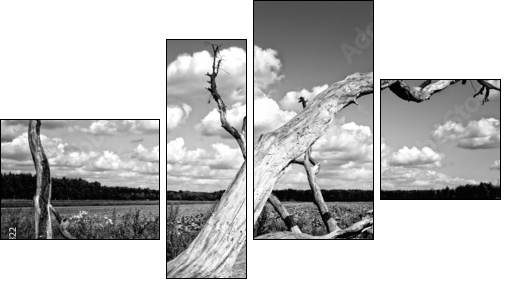 Drzewo - Four-piece canvas, Fortyk
