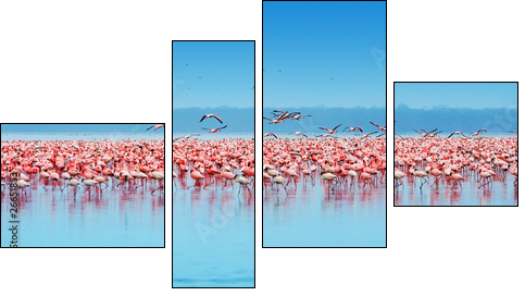 African flamingos - Four-piece canvas, Fortyk