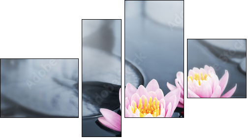 Lotus blossoms - Four-piece canvas, Fortyk