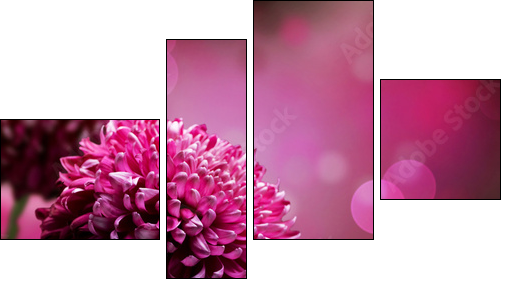 Dahlia Autumn flower design. With copy-space - Four-piece canvas, Fortyk