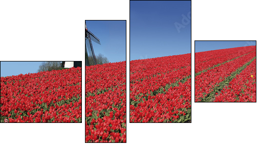 dutch mill and red tulips - Four-piece canvas, Fortyk