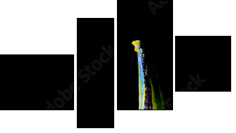 ChamÃ¤leon - Four-piece canvas, Fortyk