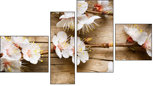 Wood background with spring blossom - Four-piece canvas, Fortyk