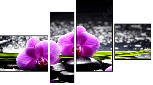 Spa still life with set of pink orchid and stones reflection - Four-piece canvas, Fortyk