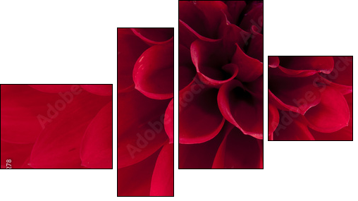 Dahlia - Four-piece canvas, Fortyk
