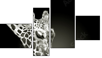 Flecken verwandte - Four-piece canvas, Fortyk