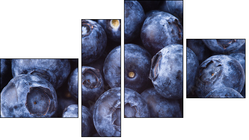 many blueberries - Four-piece canvas, Fortyk