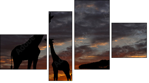 giraffes in the sunset - Four-piece canvas, Fortyk