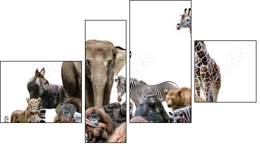 Wilde Tiere - Four-piece canvas, Fortyk