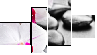 orchid - Four-piece canvas, Fortyk