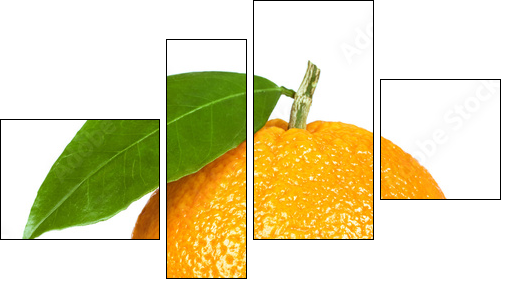 Ripe orange isolated on white background - Four-piece canvas, Fortyk