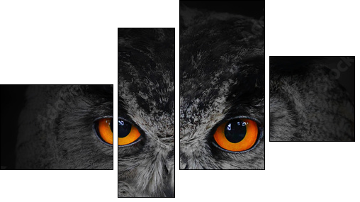 The evil eyes. ( Eagle Owl, Bubo bubo). - Four-piece canvas, Fortyk