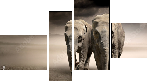 Pair of elephants in motion - Four-piece canvas, Fortyk