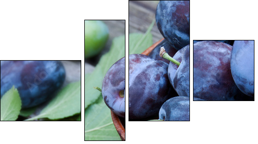 Pflaumen - Four-piece canvas, Fortyk