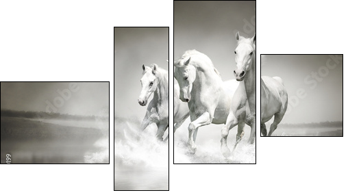 Herd of white horses running through water - Four-piece canvas, Fortyk