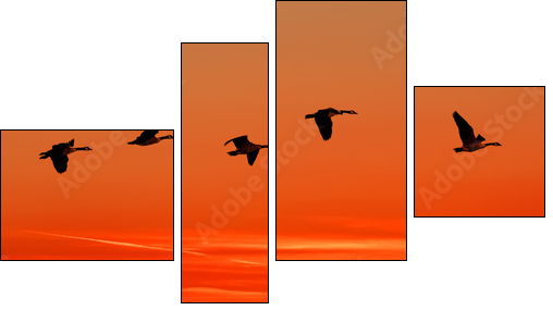 To home - Four-piece canvas, Fortyk