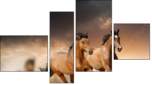 horses in sunset - Four-piece canvas, Fortyk