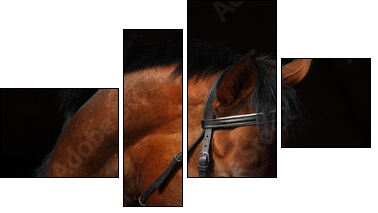 Bay Trakehner Horse with classic bridle - Four-piece canvas, Fortyk