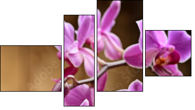 spa concept - Four-piece canvas, Fortyk