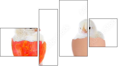 Zwei KÃ¼ken im Ei - Four-piece canvas, Fortyk