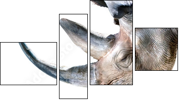 Ã¤h...nur Deko - Four-piece canvas, Fortyk