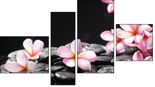 Set of frangipani with zen stones - Four-piece canvas, Fortyk