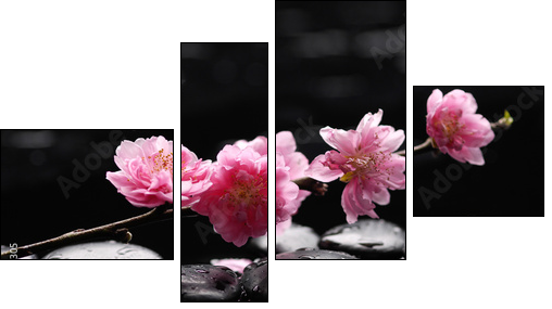 branch tropical orchid with therapy stones - Four-piece canvas, Fortyk