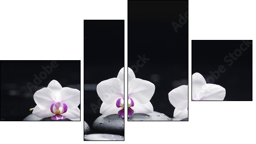 orchid flower and stones in water drops - Four-piece canvas, Fortyk