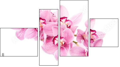 pink orchid flowers isolated - Four-piece canvas, Fortyk