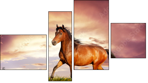 Beautiful brown horse running trot - Four-piece canvas, Fortyk
