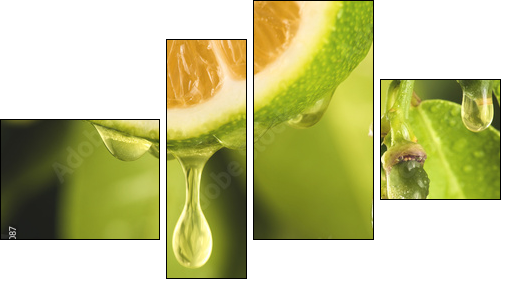 Drop of juice from a sliced lemon - Four-piece canvas, Fortyk