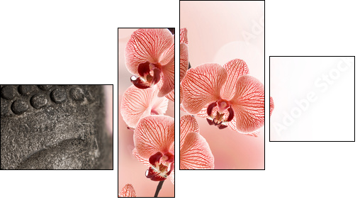 Bouddha et orchidÃ©e rouge - Four-piece canvas, Fortyk