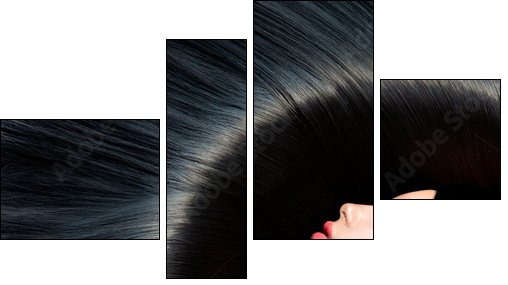 Healthy Long Black Hair. Beauty Brunette Woman - Four-piece canvas, Fortyk
