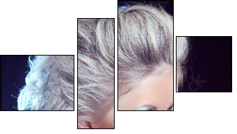 Hairstyle. Fashion Beauty Girl. Punk Style Woman with strasses o - Four-piece canvas, Fortyk