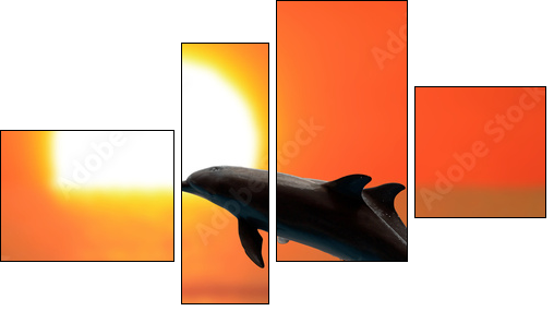 Dolphins at sunset - Four-piece canvas, Fortyk
