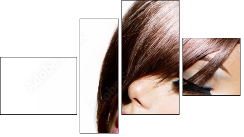 Hairstyle. Beauty Model Girl Portrait with Perfect Makeup - Four-piece canvas, Fortyk