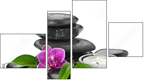 orchid - Four-piece canvas, Fortyk