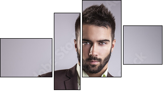 Elegant young handsome man. Studio fashion portrait. - Four-piece canvas, Fortyk