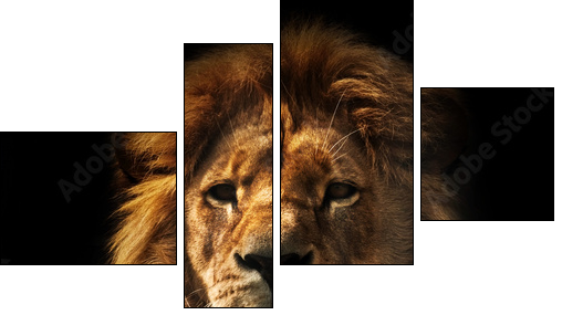 Lion portrait with rich mane on black - Four-piece canvas, Fortyk