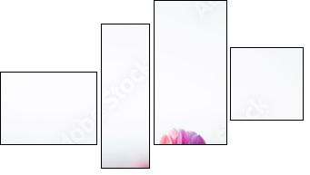 beautifull tulips - Four-piece canvas, Fortyk