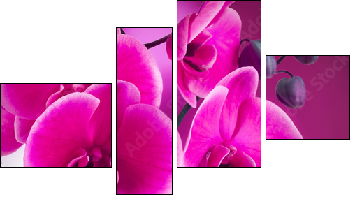 natural floral background, spa concept - Four-piece canvas, Fortyk